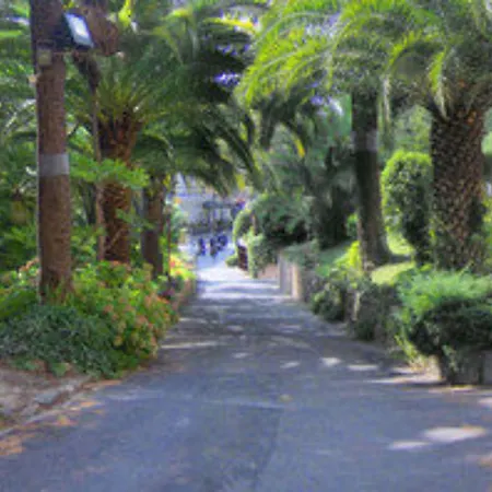 德隆德雷斯格兰德酒店